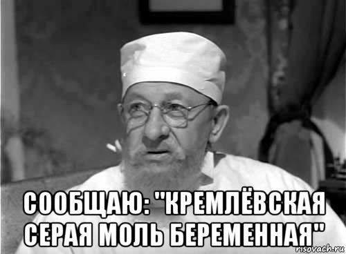  сообщаю: "кремлёвская серая моль беременная", Мем Профессор Преображенский