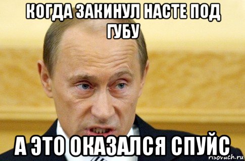 когда закинул насте под губу а это оказался спуйс, Мем путин