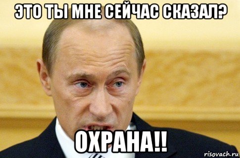 это ты мне сейчас сказал? охрана!!, Мем путин