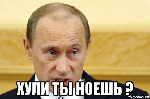  хули ты ноешь ?, Мем путин