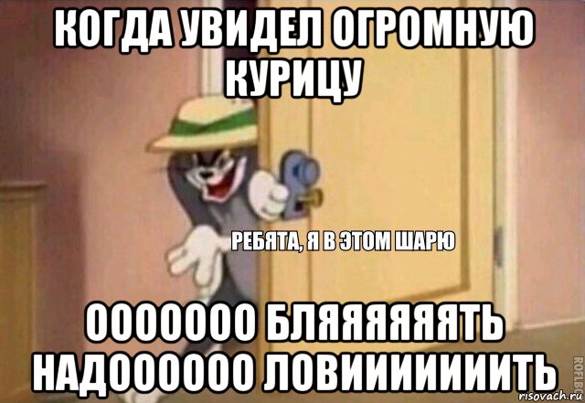 когда увидел огромную курицу ооооооо бляяяяяять надоооооо ловииииииить, Мем    Ребята я в этом шарю