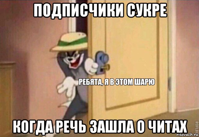 подписчики сукре когда речь зашла о читах, Мем    Ребята я в этом шарю