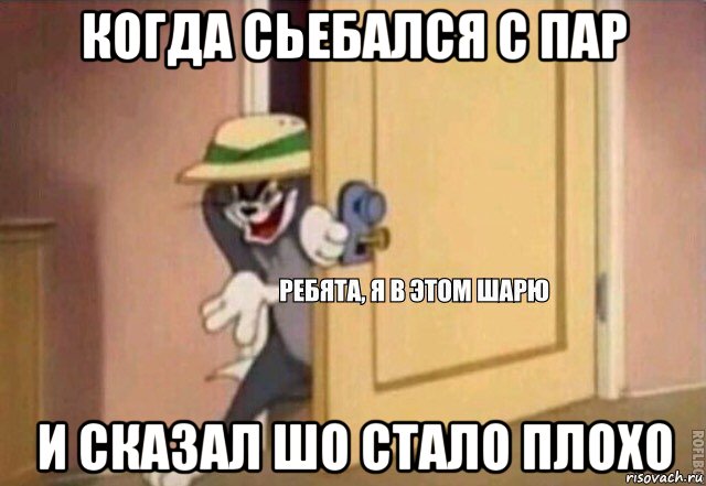 когда сьебался с пар и сказал шо стало плохо, Мем    Ребята я в этом шарю