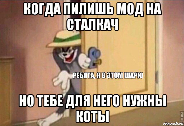 когда пилишь мод на сталкач но тебе для него нужны коты, Мем    Ребята я в этом шарю