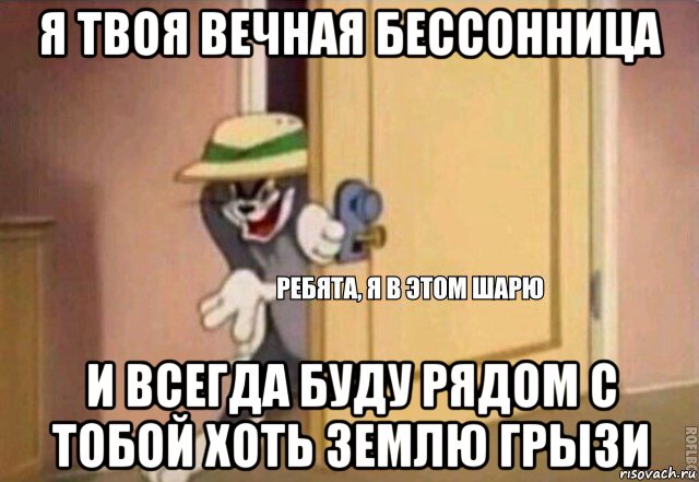 я твоя вечная бессонница и всегда буду рядом с тобой хоть землю грызи, Мем    Ребята я в этом шарю