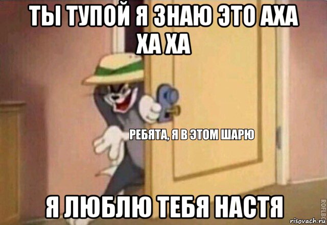 ты тупой я знаю это аха ха ха я люблю тебя настя, Мем    Ребята я в этом шарю