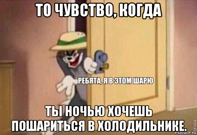 то чувство, когда ты ночью хочешь пошариться в холодильнике., Мем    Ребята я в этом шарю