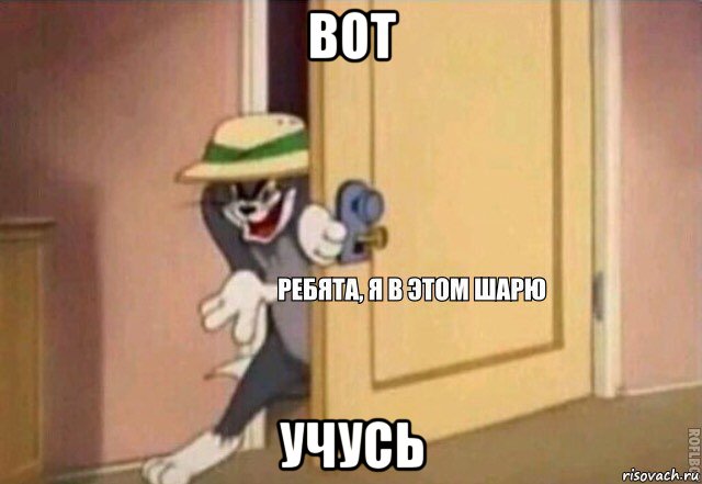 вот учусь, Мем    Ребята я в этом шарю