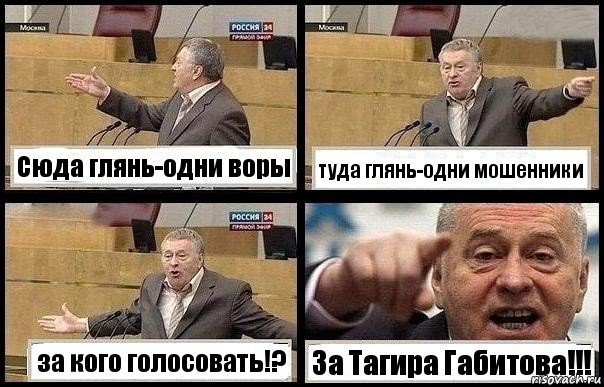 Сюда глянь-одни воры туда глянь-одни мошенники за кого голосовать!? За Тагира Габитова!!!, Комикс с Жириновским