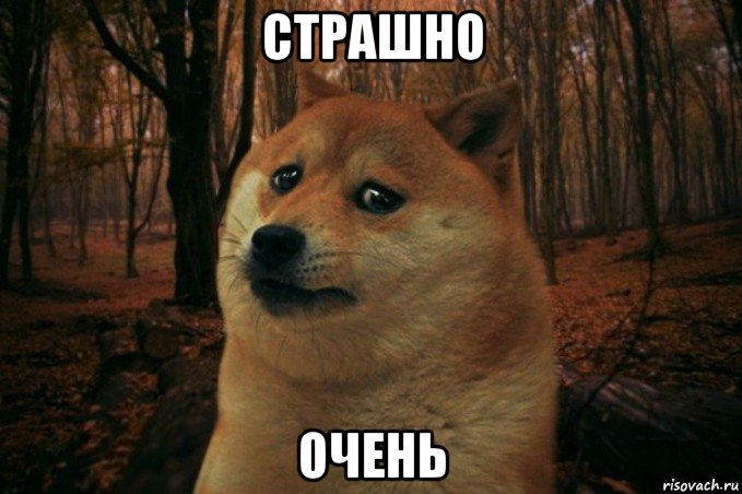 страшно очень, Мем SAD DOGE