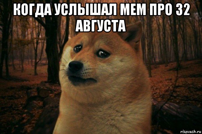 когда услышал мем про 32 августа , Мем SAD DOGE