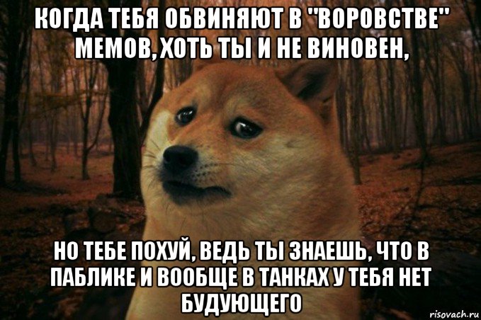 когда тебя обвиняют в "воровстве" мемов, хоть ты и не виновен, но тебе похуй, ведь ты знаешь, что в паблике и вообще в танках у тебя нет будующего, Мем SAD DOGE