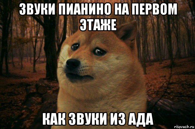 звуки пианино на первом этаже как звуки из ада, Мем SAD DOGE