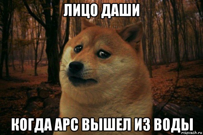 лицо даши когда арс вышел из воды, Мем SAD DOGE