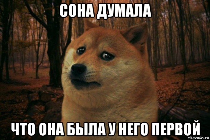 сона думала что она была у него первой, Мем SAD DOGE