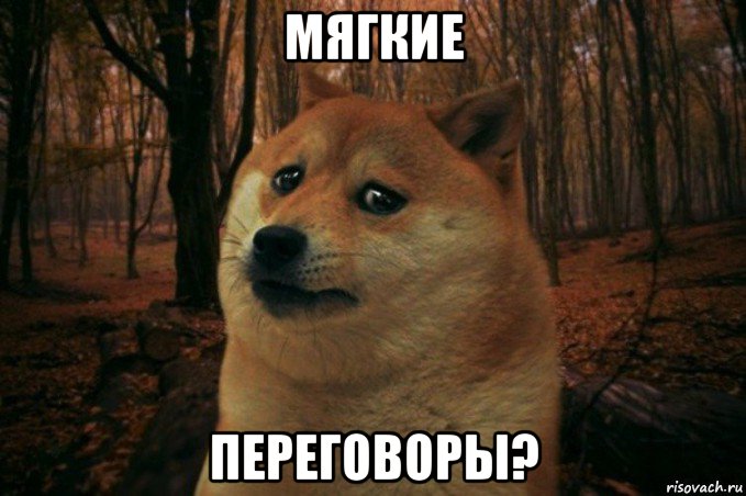 мягкие переговоры?, Мем SAD DOGE