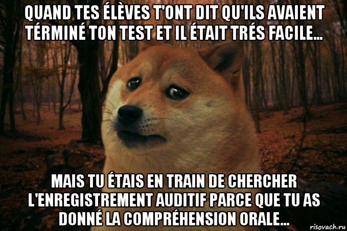 quand tes élèves t'ont dit qu'ils avaient términé ton test et il était trés facile... mais tu étais en train de chercher l'enregistrement auditif parce que tu as donné la compréhension orale..., Мем SAD DOGE