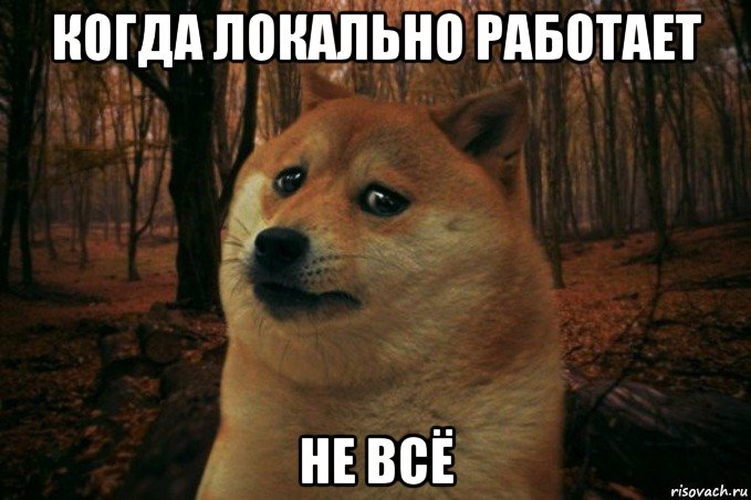 когда локально работает не всё, Мем SAD DOGE