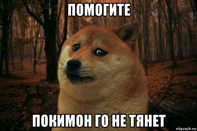 помогите покимон го не тянет, Мем SAD DOGE