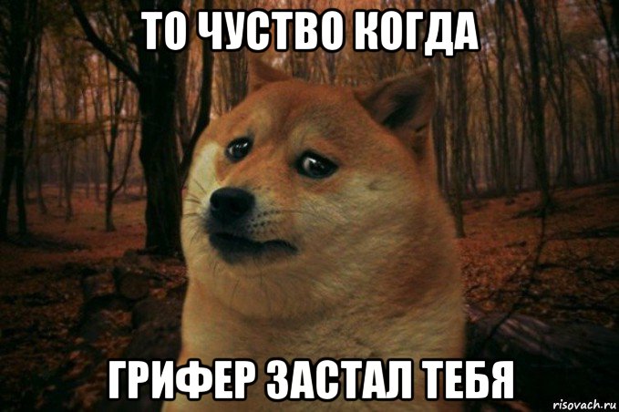 то чуство когда грифер застал тебя, Мем SAD DOGE