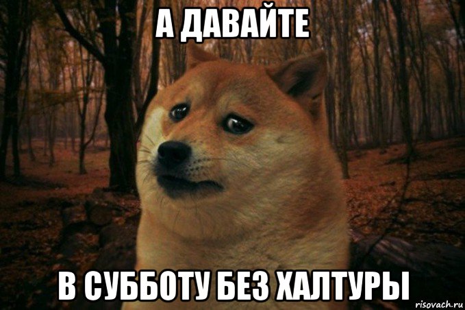 а давайте в субботу без халтуры, Мем SAD DOGE