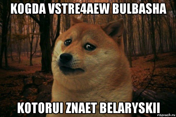 kogda vstre4aew bulbasha kotorui znaet belaryskii, Мем SAD DOGE