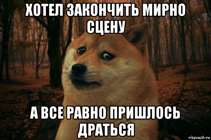 хотел закончить мирно сцену а все равно пришлось драться, Мем SAD DOGE