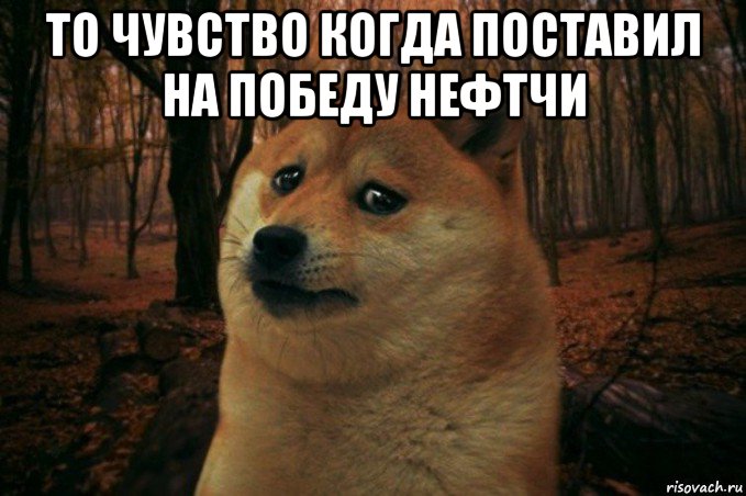 то чувство когда поставил на победу нефтчи , Мем SAD DOGE