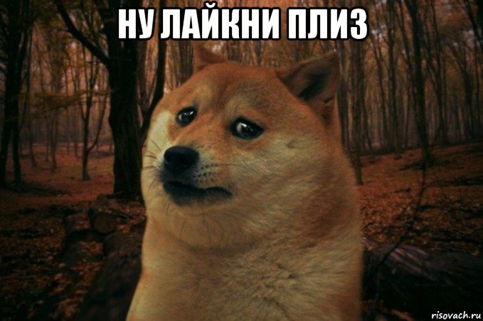 ну лайкни плиз , Мем SAD DOGE