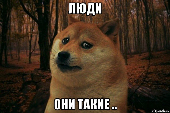 люди они такие .., Мем SAD DOGE