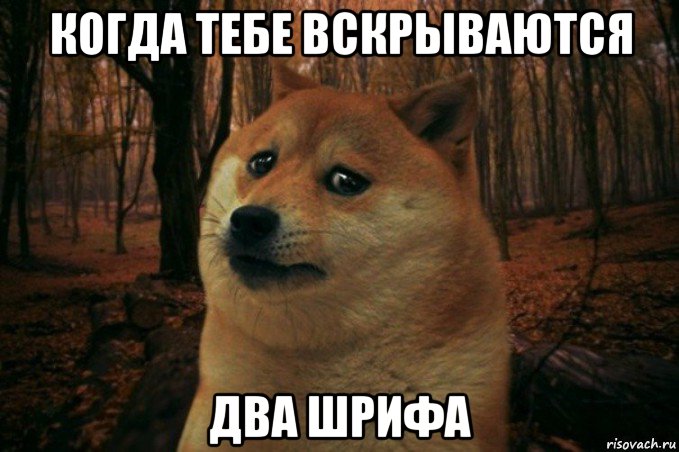 когда тебе вскрываются два шрифа, Мем SAD DOGE