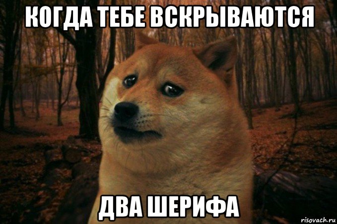 когда тебе вскрываются два шерифа, Мем SAD DOGE