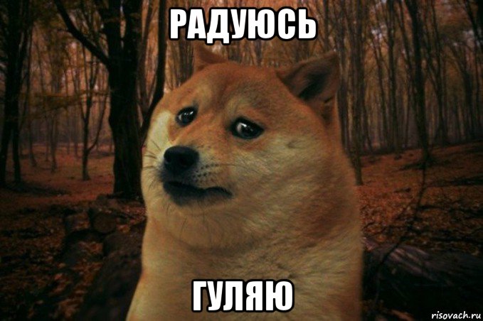 радуюсь гуляю, Мем SAD DOGE