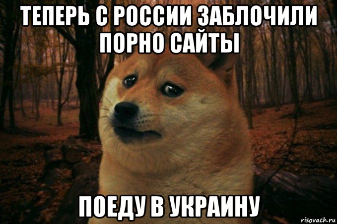 теперь с россии заблочили порно сайты поеду в украину, Мем SAD DOGE