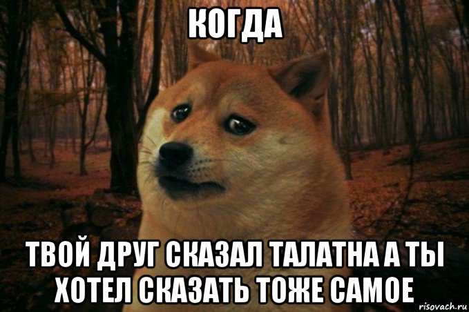 когда твой друг сказал талатна а ты хотел сказать тоже самое, Мем SAD DOGE