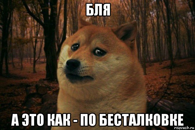 бля а это как - по бесталковке, Мем SAD DOGE