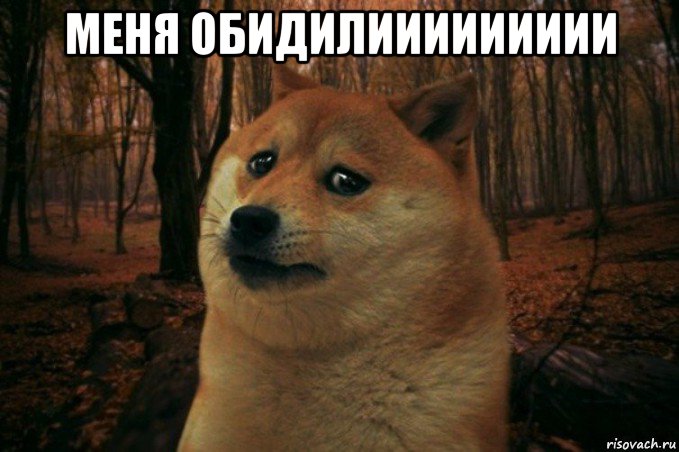 меня обидилиииииииии , Мем SAD DOGE