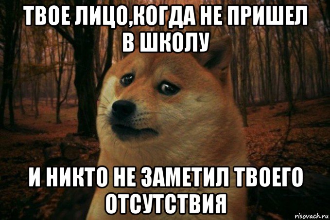 твое лицо,когда не пришел в школу и никто не заметил твоего отсутствия, Мем SAD DOGE