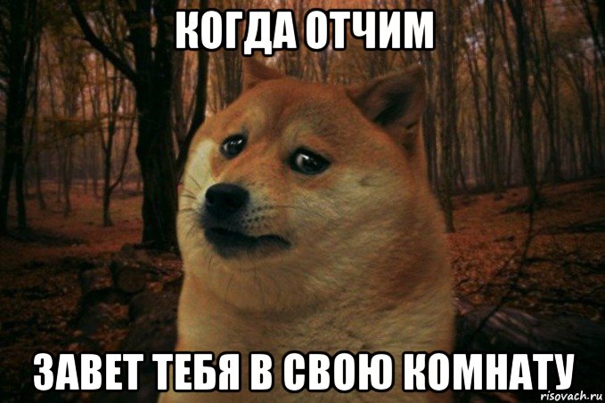 когда отчим завет тебя в свою комнату, Мем SAD DOGE