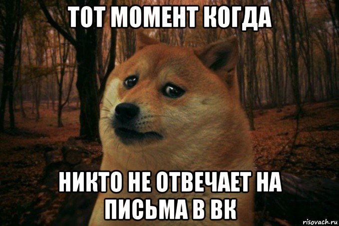 тот момент когда никто не отвечает на письма в вк, Мем SAD DOGE