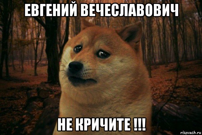 евгений вечеславович не кричите !!!, Мем SAD DOGE