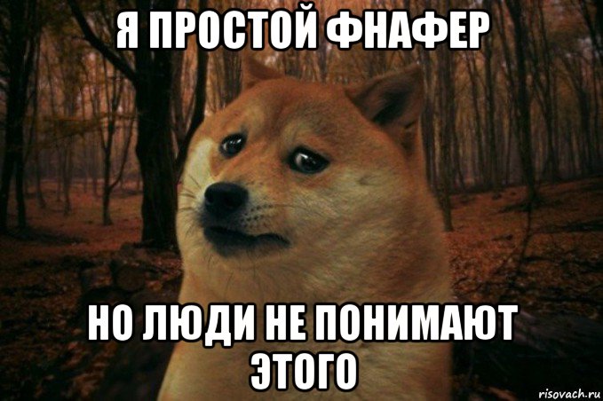 я простой фнафер но люди не понимают этого, Мем SAD DOGE