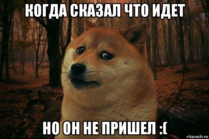 когда сказал что идет но он не пришел :(, Мем SAD DOGE