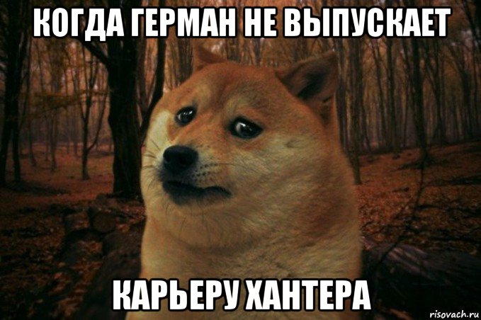 когда герман не выпускает карьеру хантера, Мем SAD DOGE