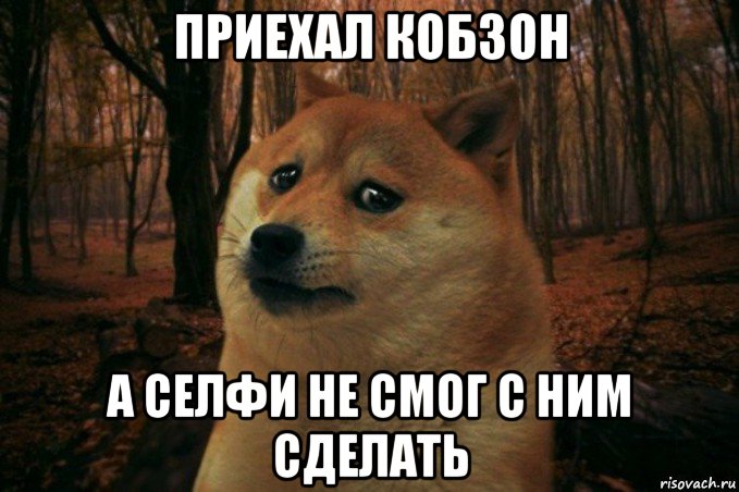 приехал кобзон а селфи не смог с ним сделать, Мем SAD DOGE