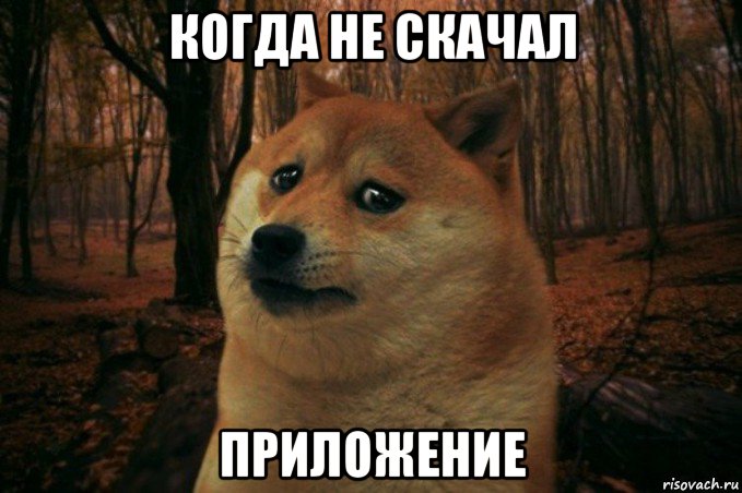 когда не скачал приложение, Мем SAD DOGE