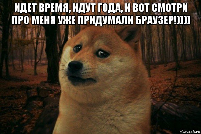 идет время, идут года, и вот смотри про меня уже придумали браузер!)))) , Мем SAD DOGE