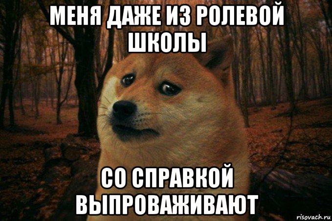 меня даже из ролевой школы со справкой выпроваживают, Мем SAD DOGE