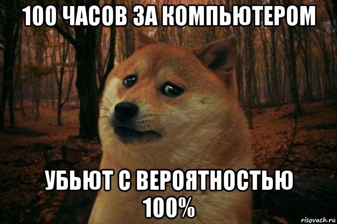 100 часов за компьютером убьют с вероятностью 100%, Мем SAD DOGE