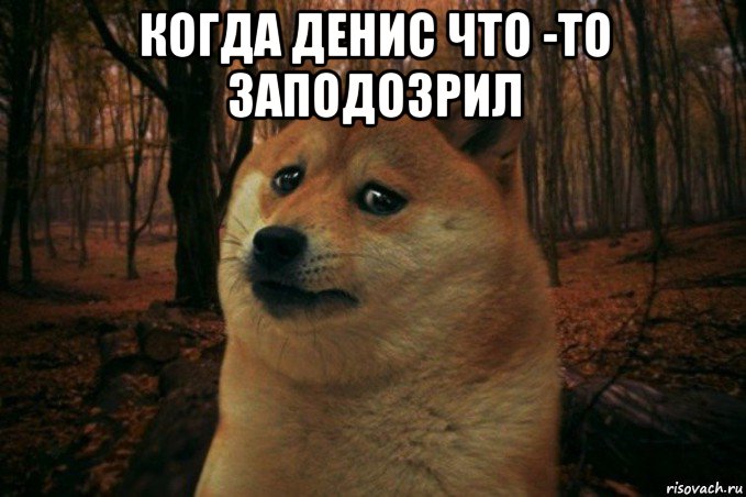 когда денис что -то заподозрил , Мем SAD DOGE